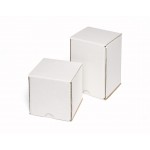 Single White Mailing Carton